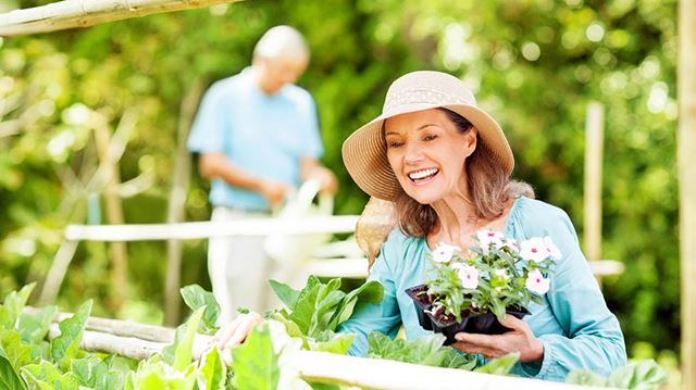 Spring gardening tips; main picture